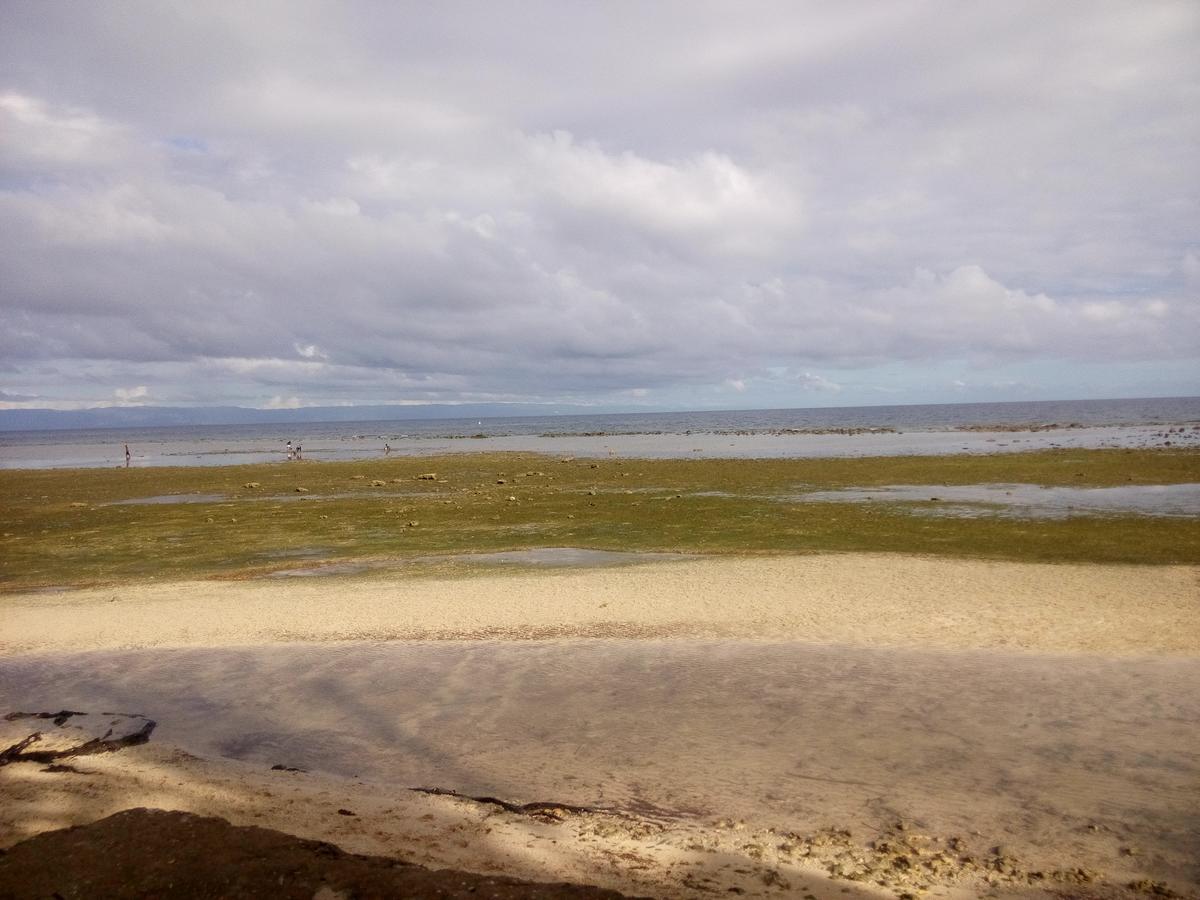 La Villa Alta Siquijor Esterno foto